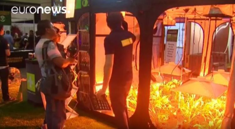 Ciudad de México acoge una feria dedicada al cultivo doméstico de la marihuana - Video