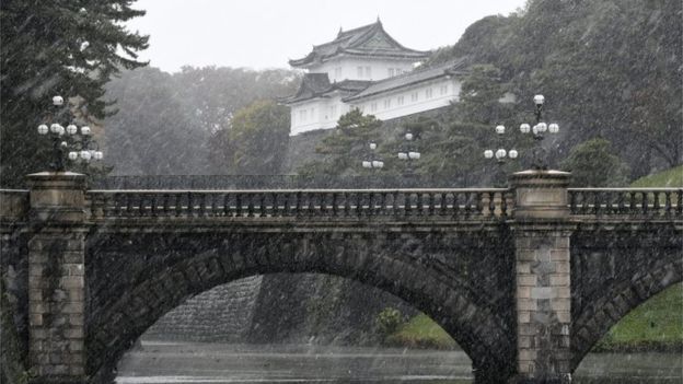 Tokyo sees first November snow in 54 years - PHOTOS