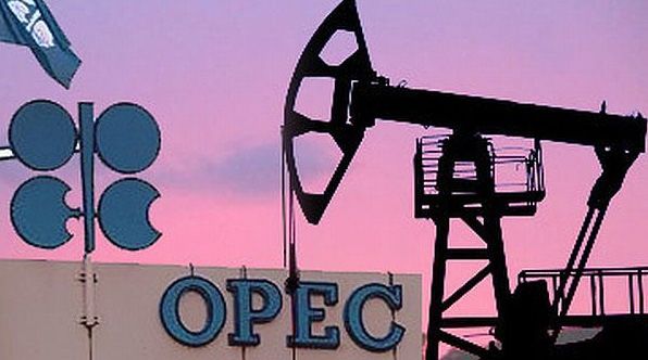 OPEC oil price drops below $50/bbl