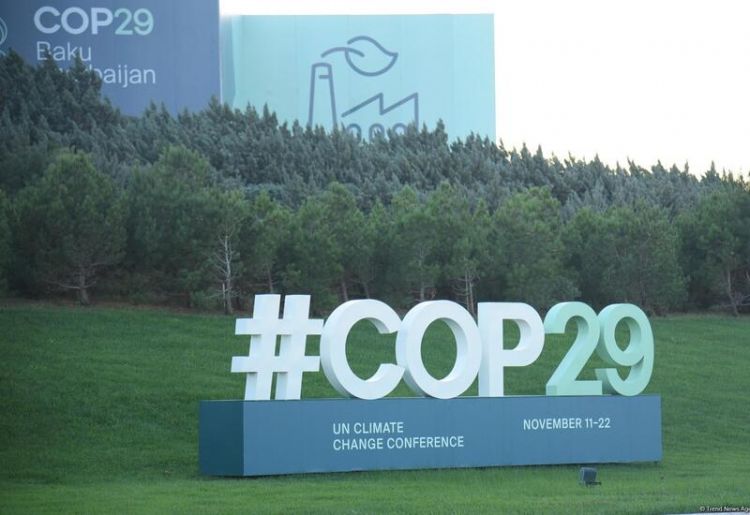 Главный переговорщик ЕС о климатическом финансировании на COP29 - ИНТЕРВЬЮ