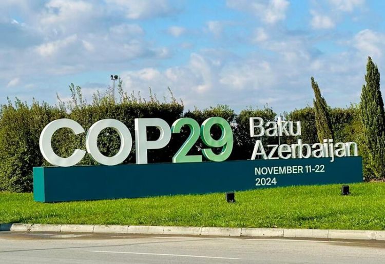 Баку примет II министерский диалог высокого уровня – в дни COP29