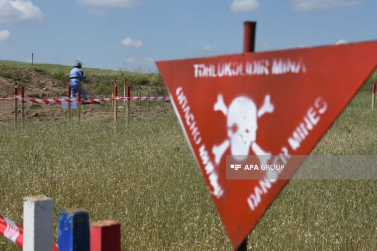 На освобожденных территориях Азербайджана обнаружены еще 94 мины, 294 НРБ