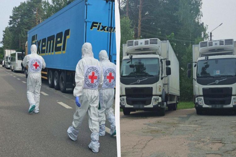 Россия передала Украине тела более 1200 военнослужащих