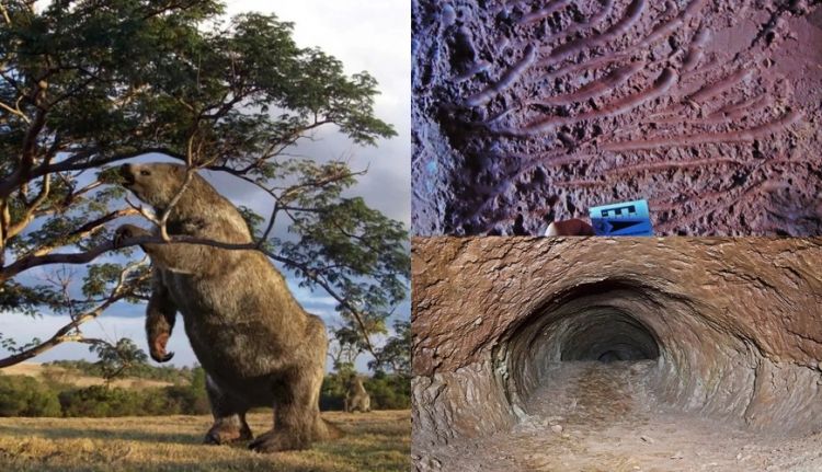 Тайные тоннели в Южной Америке - их создали не люди - ФОТО