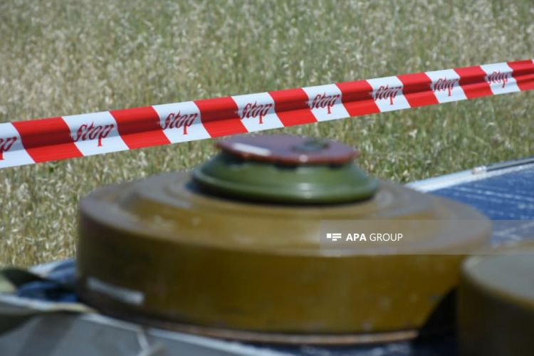 На освобожденных территориях Азербайджана обнаружено еще 135 мин, 1661 НРБ