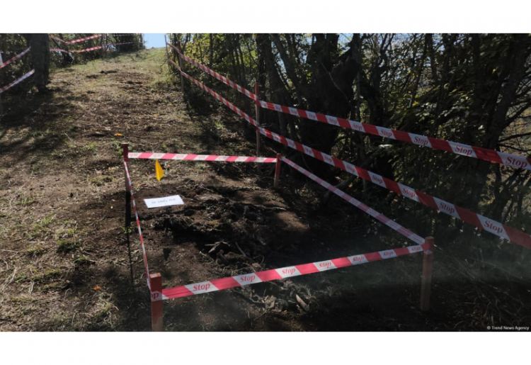 Участники международной конференции посетили массовое захоронение в Агдере